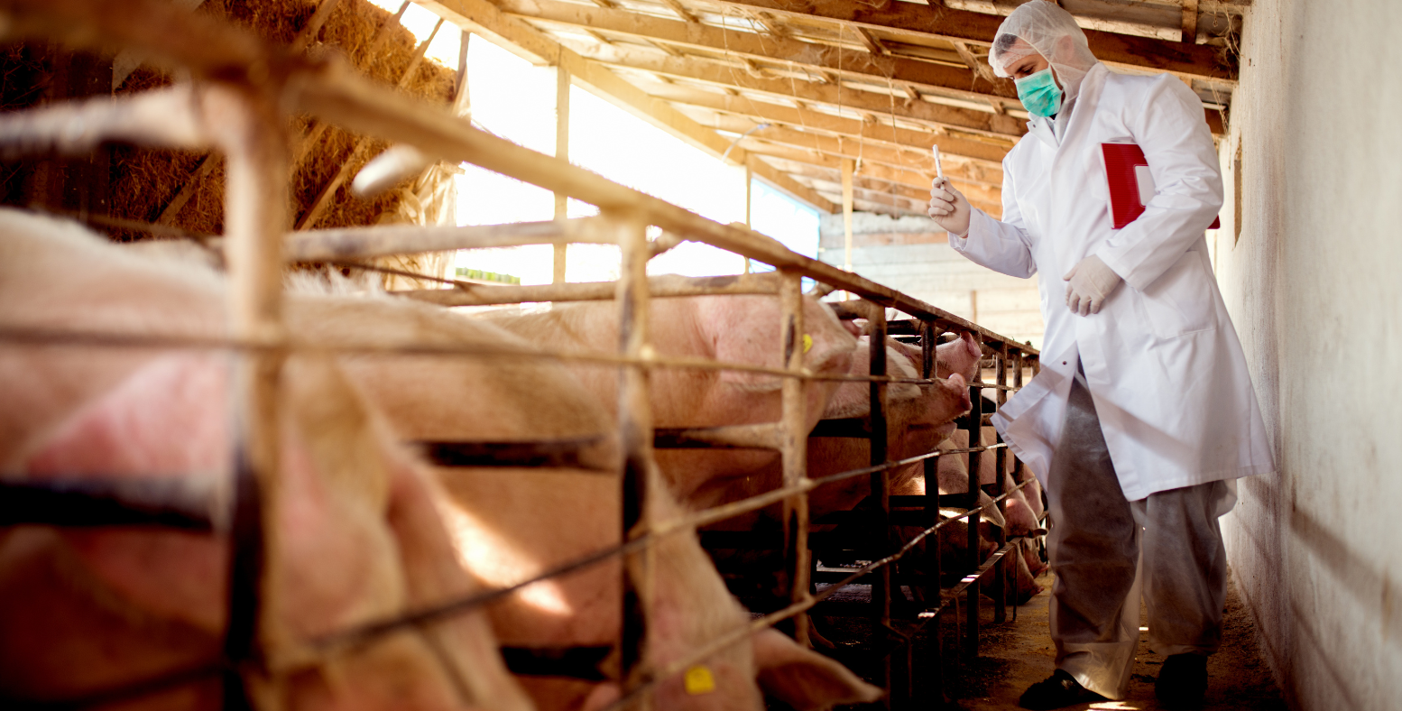 Luis Alejandro Sampayo Cabada